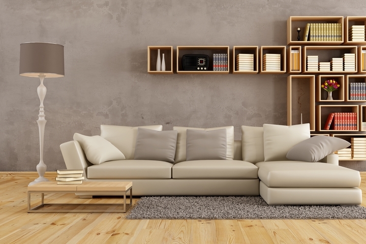 Decorating Ideas for Living Rooms on a Budget